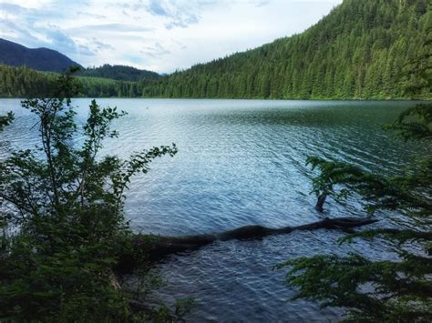 Shearing Devils Lake 